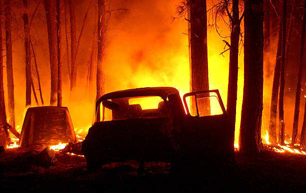 Wildfires cause destruction across the state